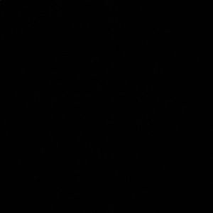 Meet your Posher, Ash